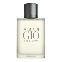 Armani Acqua Di Gio Perfume Masculino 100ml EDT
