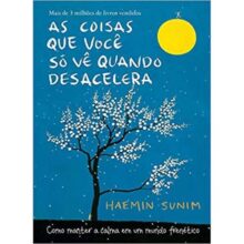 As coisas que você só vê quando desacelera: Como manter a calma em um mundo frenético