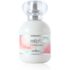 Perfume Masculino Ted Lapidus Lapidus Pour Homme EDT – 100ml