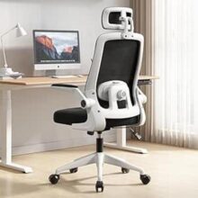 Cadeira de Escritório Ergonômica, Suporte 120kg, Ajuste Lombar, Apoio de Cabeça, Tela Mesh Premium, Giratória, Home Office (Branca e Preta)