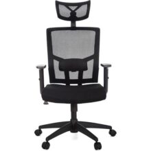 Cadeira Para Escritório Presidente Giratória Ergonômica ANM312 P