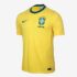 Tênis Nike Downshifter 13 Masculino