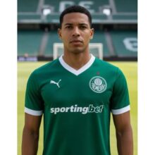 Camisa Palmeiras I Verde 2526 Masculina Torcedor – Oficial