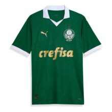 Camisa Palmeiras Torcedor 24/25 Masculina Puma