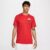 Camiseta Nike Dri-fit Masculina