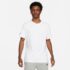 Tênis Nike Court Lite 4 Masculino