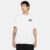 Camiseta Nike Sb Masculina
