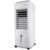 Climatizador Philco PCL14F 3 em 1 Ciclo Frio 14L