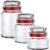 Conjunto com 3 Potes Multiuso de Vidro, com tampa Herméticas, Vermelho, VDR1129-VM, Euro Home