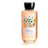 Coty – Desodorante Aero Monange 150Ml Invisivel