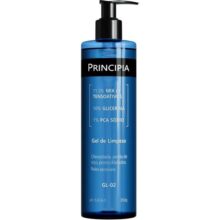 GEL DE LIMPEZA GL-02 350G