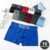 Kit 10 Cueca Boxer Microfibra Adulto Premium