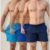 Kit 3 Short Masculino Academia Praia Tactel C Lycra Bermuda
