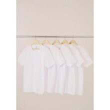 Kit 5 Camisetas Hering Basica Masculina Algodão Original