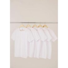 Kit Com 5 Camisetas Masculinas Básicas Slim Hering