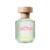 Perfume Benetton Green Cactus Feminino – Eau de Toilette 80ml