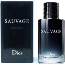 Sauvage Masculino de Christian Dior Eau de Toilette 100ml