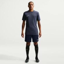 Shorts Dri-FIT Nike Park