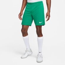 Shorts  Dri-FIT Park 3 Masculino