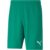 Shorts Puma Teamrise Masculino, Tamanhos P, M, G e GG