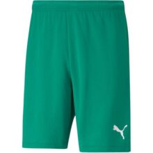 Shorts Puma Teamrise Masculino, Tamanhos P, M, G e GG