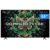 Smart TV TCL 55″ 4K QD-Mini LED 120Hz Google TV AiPQ – 55C6K