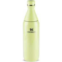 Stanley – Garrafa térmica Slim Bottle para água e bebidas frias, colarinho removível para adicionar gelo, à prova de vazamentos, aço inoxidável, 591 ml, Ash Gloss