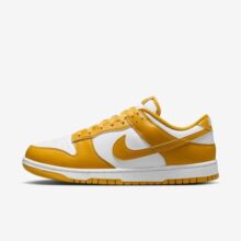 Tênis  Dunk Low Retro Masculino