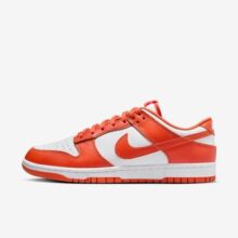 Tênis Nike Dunk Low Retro Masculino