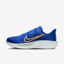 Tênis Nike Quest 6